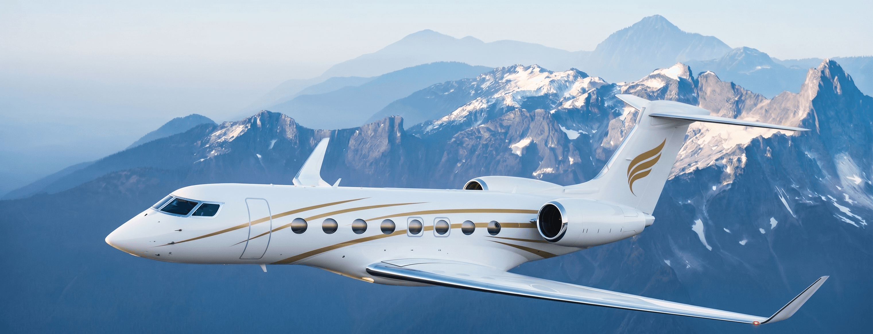 FlyToga aircraft fleet