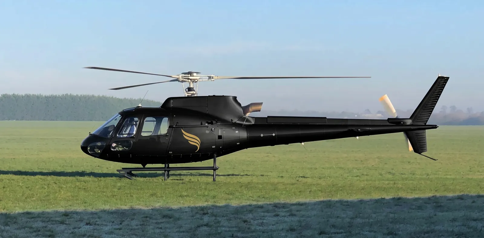 Airbus H125
